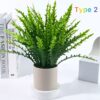 Potted Plant - Image 3