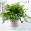 Potted Plant