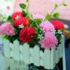 Fence Flower - Image 5