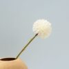 Dandelion Flower - Image 6