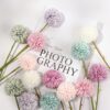 Dandelion Flower