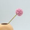 Dandelion Flower - Image 4