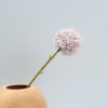 Dandelion Flower - Image 2
