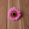 SunFlower - Image 3