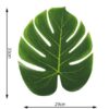 Monstera Leaf