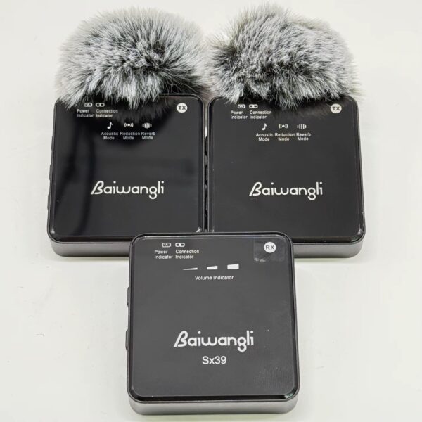 Baiwangli Wireless Mic (SX39)